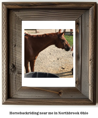 horseback riding near me in Northbrook, Ohio